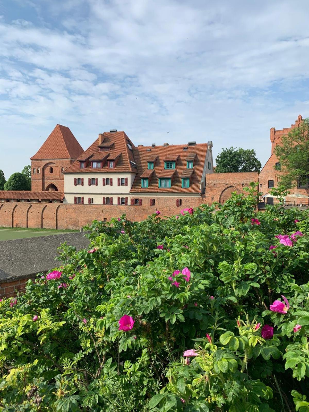 Apartament Krysztalowy Ac Progres Stary Toruń Exteriér fotografie